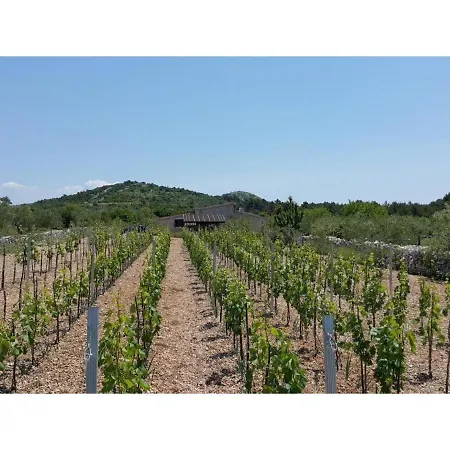 Country house Eko House Lidija